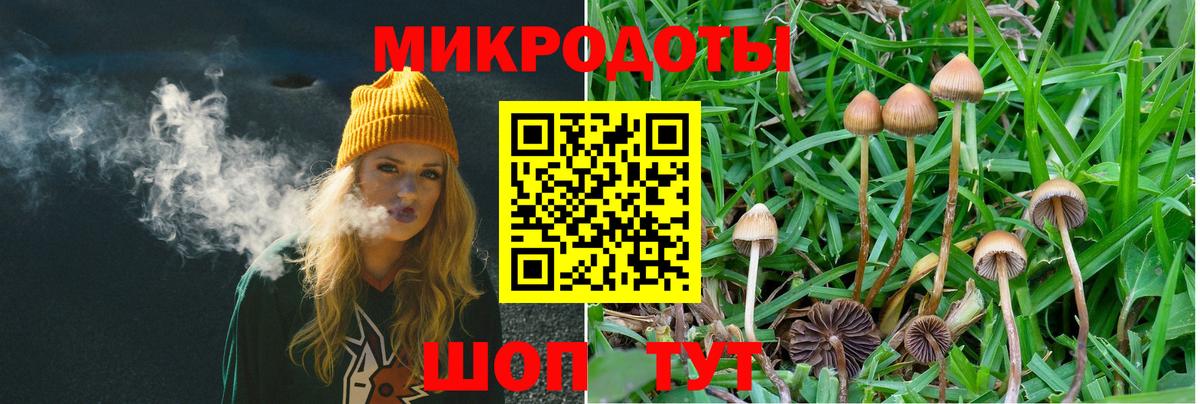 Ликино-Дулёво  Псилоцибиновые грибы мухоморы  Вход с VPN 